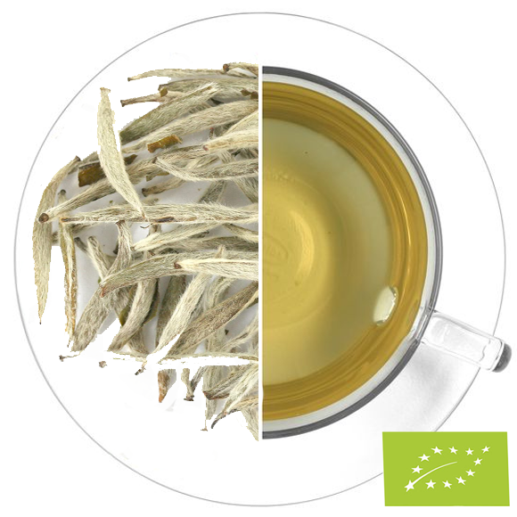 TÉ BLANCO SILVER NEEDLE PREMIUN (AGUJAS DE PLATA) ORG.