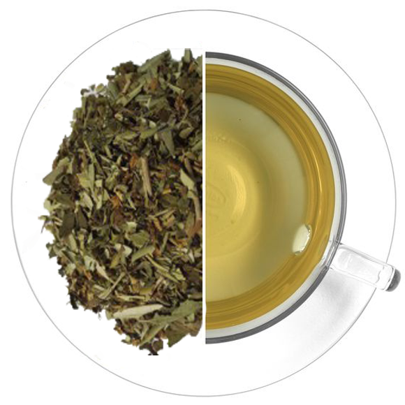 INFUSIÓN TENSIÓN Nº 19