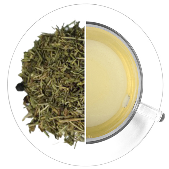 INFUSIÓN DIURÉTICA Nº 20