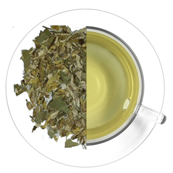 INFUSIÓN ASMA Nº 3